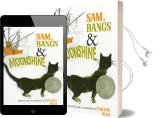 Sam, Bangs & Moonshine Audiobook download free by Evaline Ness