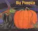 Audiobook Big Pumpkin author Erica Silverman