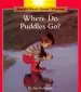 Audiobook Where do Puddles go? author Fay Robinson