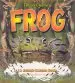 Audiobook The Life Cycle of the Frog author Bobbie Kalman