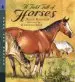 Audiobook A Field Full of Horses: Read and Wonder author Peter Hansard