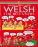 Audiobook Welsh for Beginners author Angela Wilkes
