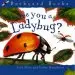 Audiobook Are you a Ladybug? author Judy Allen