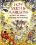 Audiobook How Much is a Million? author David M Schwartz