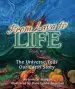 Audiobook From Lava to Life: Book Two: The Universe Tells our Earth Story author Jennifer Morgan