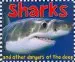 Audiobook Sharks: And Other Dangers of the Deep author Roger Priddy