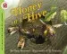 Audiobook Honey in a Hive author Anne Rockwell