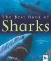 Audiobook My Best Book of Sharks author Claire Llewellyn