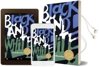 Black and White Audiobook download free by David Macaulay