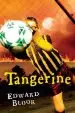 Audiobook Tangerine author Edward Bloor