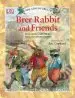 Audiobook The Adventures of Brer Rabbit and Friends author Dk