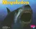 Audiobook Megalodon author Janet Riehecky