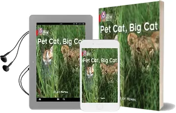 Pet Cat, big cat: Band 02A/Red a Audiobook download free by Alison Hawes