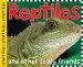 Audiobook Smart Kids: Reptiles and Amphibians: And Amphibians author Roger Priddy