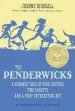 Audiobook The Penderwicks: A Summer Tale of Four Sisters, two Rabbits, and a Very Interesting boy author Jeanne Birdsall
