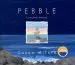 Audiobook Pebble: A Story About Belonging author Susan Milord