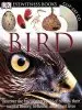Audiobook Bird author David Burnie