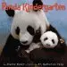 Audiobook Panda Kindergarten author Joanne Ryder
