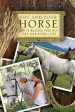 Audiobook You and Your Horse: How to Whisper Your way Into Your Horse'S Life author Dandi Daley Mackall