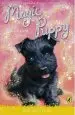 Audiobook Magic Puppy: Sparkling Skates author Sue Bentley