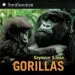Audiobook Gorillas author Seymour Simon