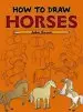 Audiobook How to Draw Horses author John Green