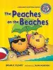 Audiobook The Peaches on the Beaches Inflectional Endings author Brian Cleary