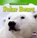Audiobook Polar Bears author Maeve T Sisk