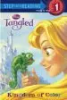 Audiobook Tangled: Kingdom of Color author Melissa Lagonegro