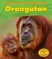 Audiobook Orangutan author Anita Ganeri