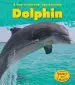 Audiobook Dolphin author Louise A Spilsbury