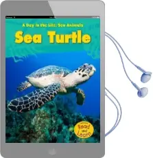 Sea Turtle Audiobook download free by Louise A Spilsbury