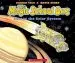 Audiobook The Lost in the Solar System (The Magic School Bus) author Joanna Cole