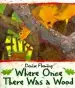 Audiobook Where Once There was a Wood author Denise Fleming