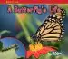 Audiobook A Butterfly'S Life author Nancy Dickmann