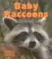 Audiobook Baby Raccoons author Bobbie Kalman
