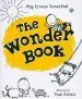 Audiobook The Wonder Book author Amy Krouse Rosenthal