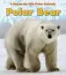 Audiobook Polar Bear author Katie Marsico