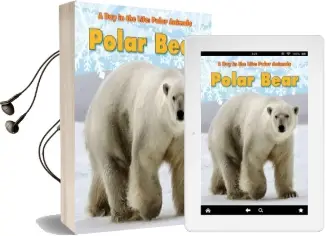 Polar Bear Audiobook download free by Katie Marsico