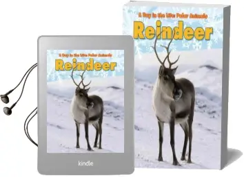 Reindeer Audiobook download free by Katie Marsico
