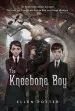 Audiobook The Kneebone boy author Ellen Potter
