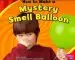 Audiobook How to Make a Mystery Smell Balloon author Lori Shores