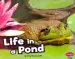 Audiobook Life in the Pond author Craig Hammersmith