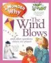 Audiobook I Wonder why the Wind Blows: And Other Questions About our Planet author Anita Ganeri