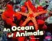 Audiobook An Ocean of Animals author Janine Scott