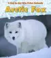 Audiobook Arctic fox author Katie Marsico