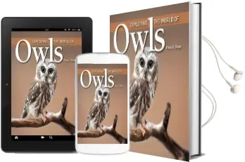 Exploring the World of Owls Audiobook download free by Tracy C. Read