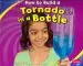 Audiobook How to Build a Tornado in a Bottle author Lori Shores