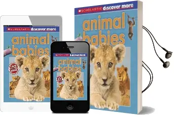 Animal Babies Audiobook download free by Tory Gordon Harris