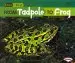 Audiobook From Tadpole to Frog author Shannon Zemlicka